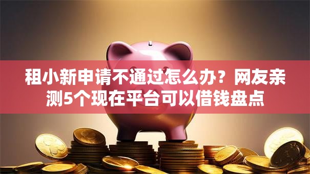 租小新申请不通过怎么办?网友亲测5个现在平台可以借钱盘点 租小新申请不通过怎么办?网友亲测5个现在平台可以借钱盘点