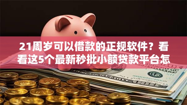 21周岁可以借款的正规软件？看看这5个最新秒批小额贷款平台怎么样