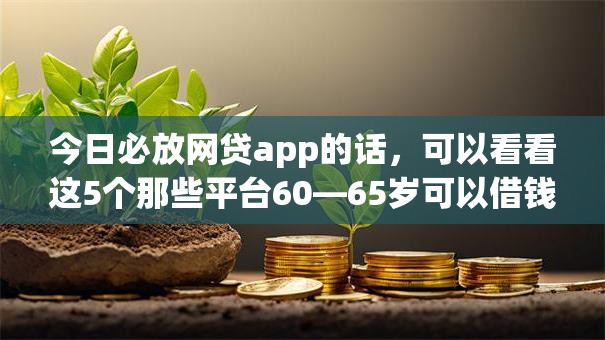 今日必放网贷app的话，可以看看这5个那些平台60—65岁可以借钱