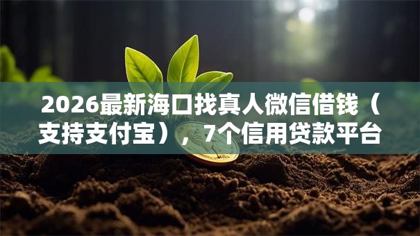 2026最新海口找真人微信借钱（支持支付宝），7个信用贷款平台好无私分享