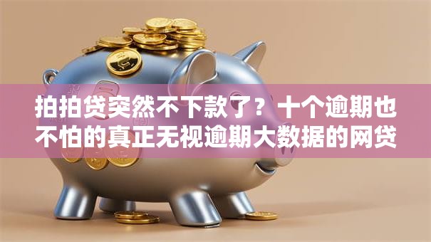 拍拍贷突然不下款了？十个逾期也不怕的真正无视逾期大数据的网贷软件