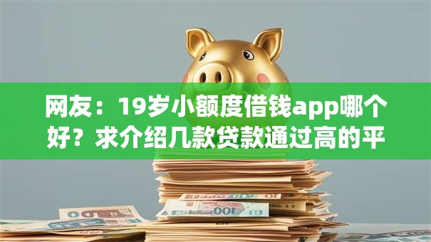 网友：19岁小额度借钱app哪个好？求介绍几款贷款通过高的平台