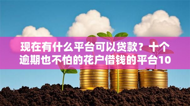 现在有什么平台可以贷款？十个逾期也不怕的花户借钱的平台100%能借到