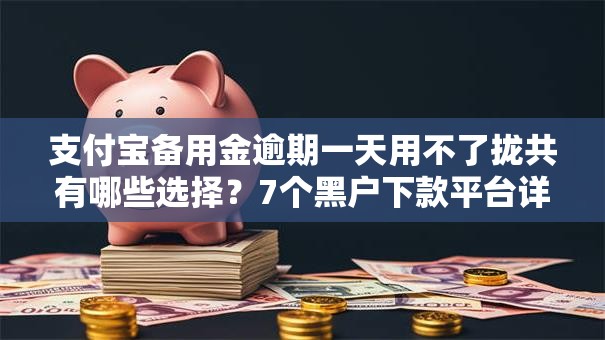 支付宝备用金逾期一天用不了拢共有哪些选择？7个黑户下款平台详解