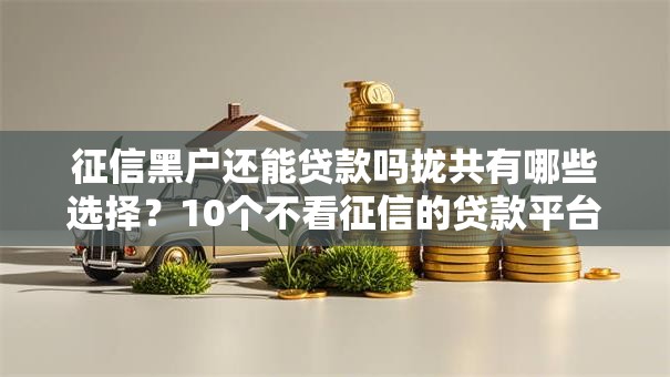 征信黑户还能贷款吗拢共有哪些选择？10个不看征信的贷款平台一定能下款详解