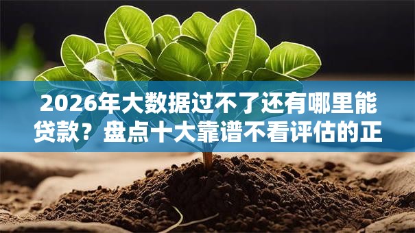 2026年大数据过不了还有哪里能贷款?盘点十大靠谱不看评估的正规的借贷平台 2026年大数据过不了还有哪里能贷款?盘点十大靠谱不看评估的正规的借贷平台
