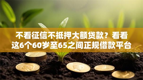 不看征信不抵押大额贷款？看看这6个60岁至65之间正规借款平台怎么样
