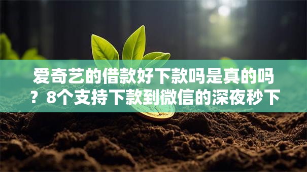 爱奇艺的借款好下款吗是真的吗?8个支持下款到微信的深夜秒下款的高炮口子 爱奇艺的借款好下款吗是真的吗?8个支持下款到微信的深夜秒下款的高炮口子