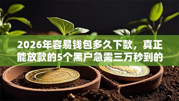 2026年容易钱包多久下款，真正能放款的5个黑户急需三万秒到的的口子推荐