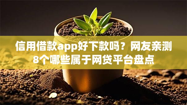 信用借款app好下款吗？网友亲测8个哪些属于网贷平台盘点