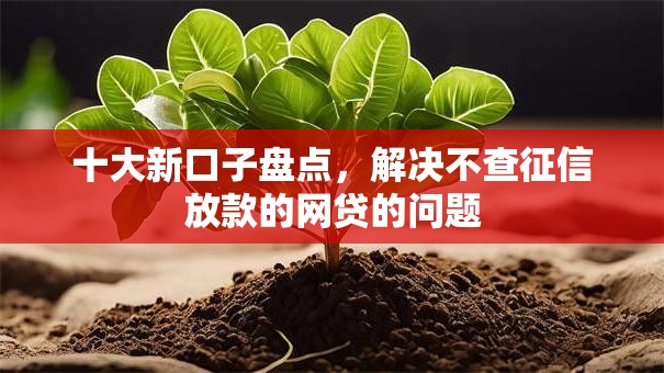 十大新口子盘点,解决不查征信放款的网贷的问题 十大新口子盘点,解决不查征信放款的网贷的问题