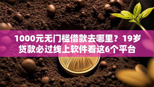 1000元无门槛借款去哪里？19岁贷款必过线上软件看这6个平台