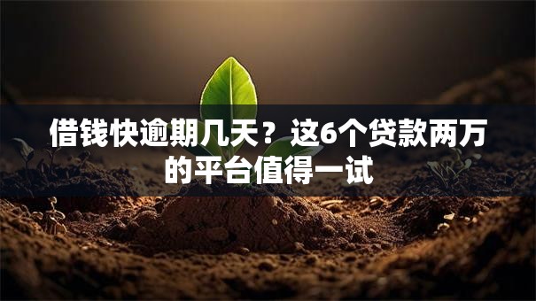 借钱快逾期几天？这6个贷款两万的平台值得一试