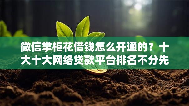 微信掌柜花借钱怎么开通的？十大十大网络贷款平台排名不分先后推荐
