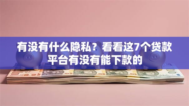 有没有什么隐私？看看这7个贷款平台有没有能下款的