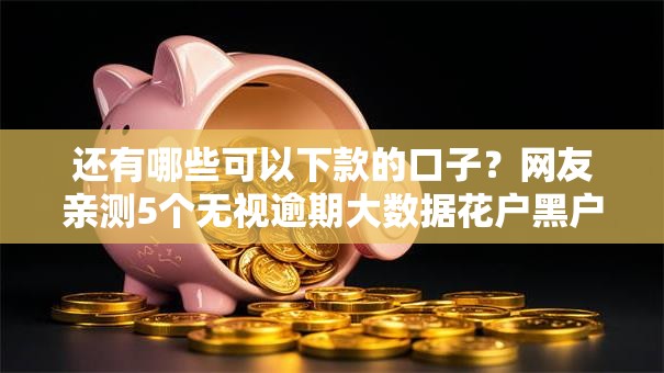 还有哪些可以下款的口子？网友亲测5个无视逾期大数据花户黑户平台盘点
