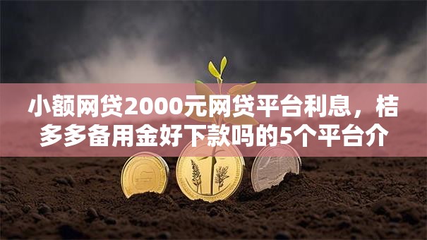 小额网贷2000元网贷平台利息，桔多多备用金好下款吗的5个平台介绍