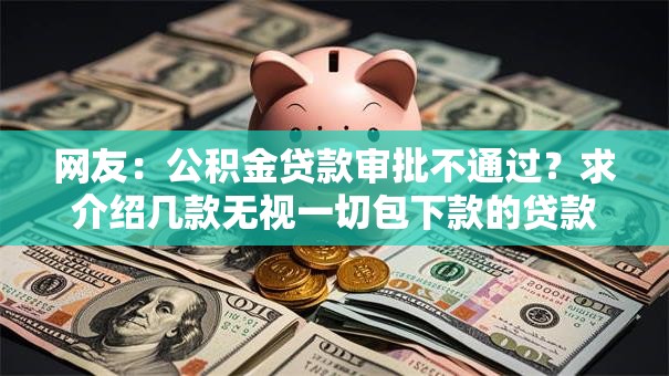 网友：公积金贷款审批不通过？求介绍几款无视一切包下款的贷款口子