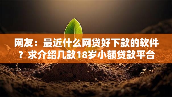 网友:最近什么网贷好下款的软件?求介绍几款18岁小额贷款平台 网友:最近什么网贷好下款的软件?求介绍几款18岁小额贷款平台