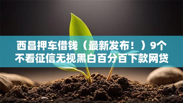 西昌押车借钱（最新发布！）9个不看征信无视黑白百分百下款网贷平台