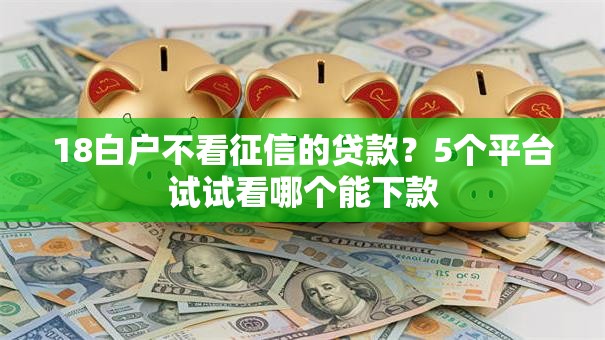 18白户不看征信的贷款？5个平台试试看哪个能下款