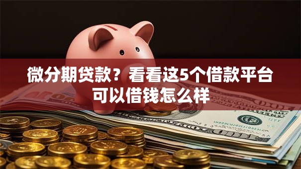 微分期贷款？看看这5个借款平台可以借钱怎么样