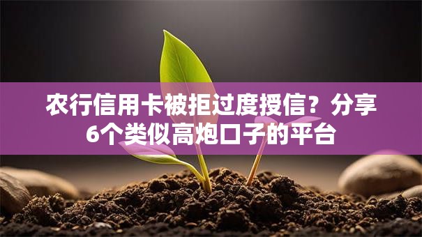 农行信用卡被拒过度授信?分享6个类似高炮口子的平台 农行信用卡被拒过度授信?分享6个类似高炮口子的平台