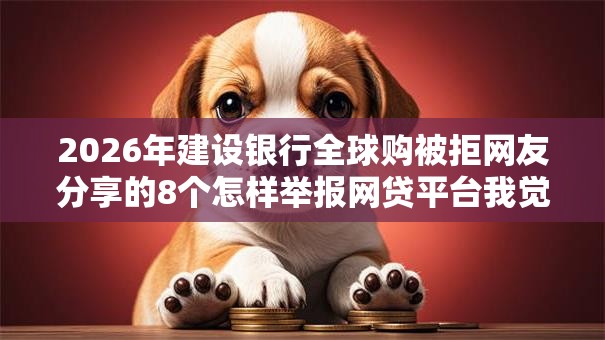 2026年建设银行全球购被拒网友分享的8个怎样举报网贷平台我觉得不错！