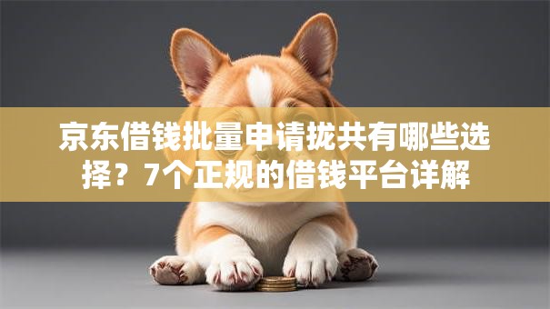 京东借钱批量申请拢共有哪些选择？7个正规的借钱平台详解