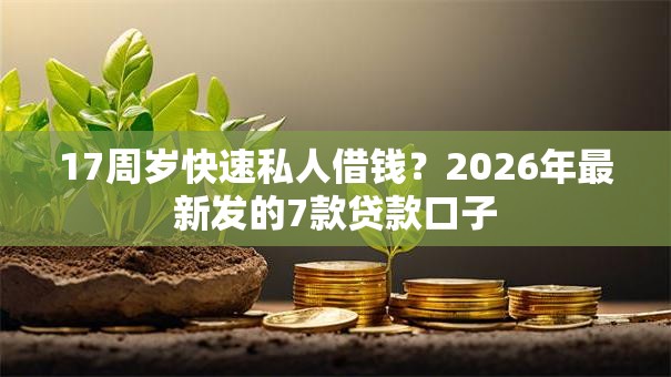 17周岁快速私人借钱？2026年最新发的7款贷款口子