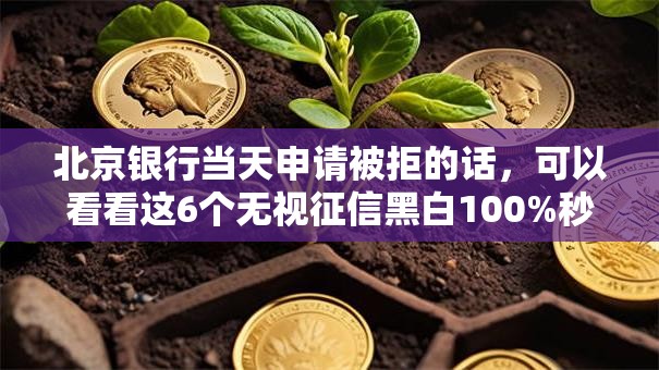 北京银行当天申请被拒的话,可以看看这6个无视征信黑白100%秒下网贷软件 北京银行当天申请被拒的话,可以看看这6个无视征信黑白100%秒下网贷软件