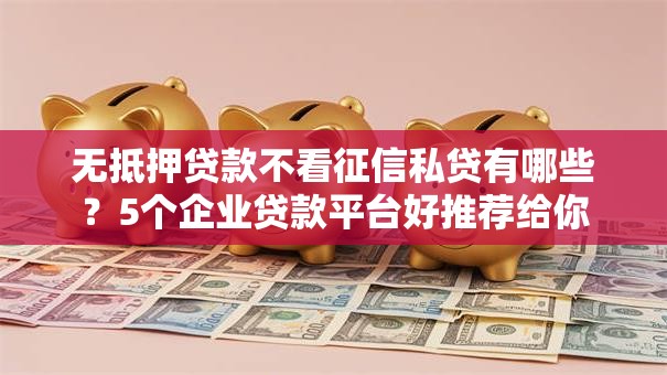 无抵押贷款不看征信私贷有哪些?5个企业贷款平台好推荐给你 无抵押贷款不看征信私贷有哪些?5个企业贷款平台好推荐给你