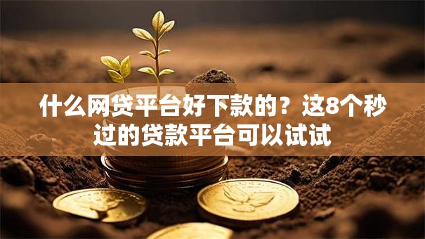 什么网贷平台好下款的？这8个秒过的贷款平台可以试试