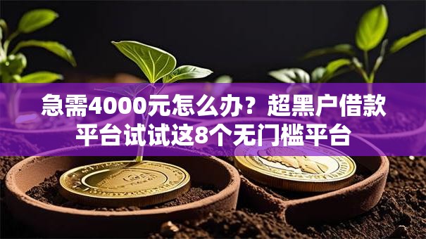 急需4000元怎么办？超黑户借款平台试试这8个无门槛平台