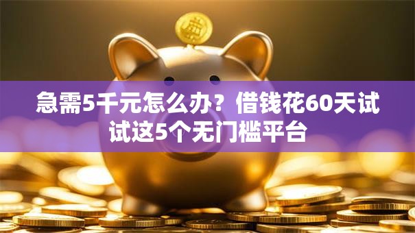 急需5千元怎么办？借钱花60天试试这5个无门槛平台