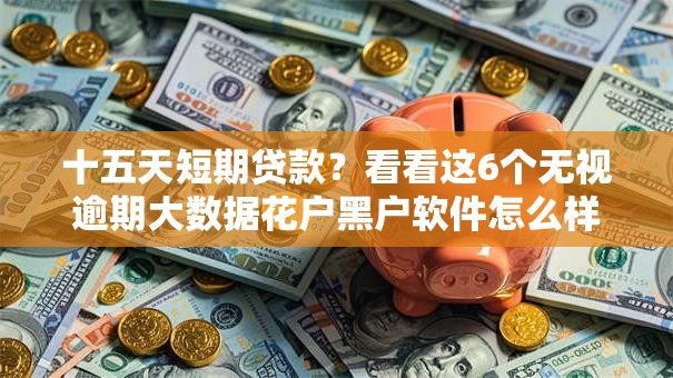 十五天短期贷款？看看这6个无视逾期大数据花户黑户软件怎么样