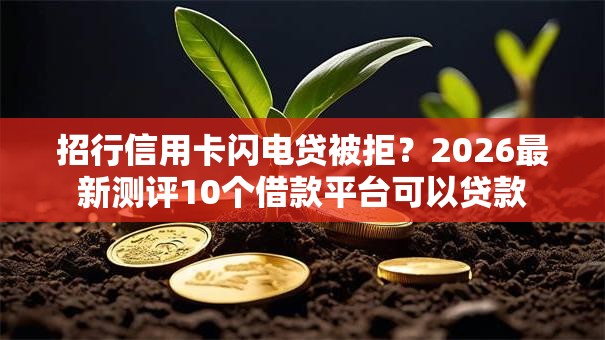 招行信用卡闪电贷被拒?2026最新测评10个借款平台可以贷款 招行信用卡闪电贷被拒?2026最新测评10个借款平台可以贷款