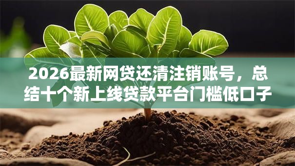 2026最新网贷还清注销账号,总结十个新上线贷款平台门槛低口子! 2026最新网贷还清注销账号,总结十个新上线贷款平台门槛低口子!
