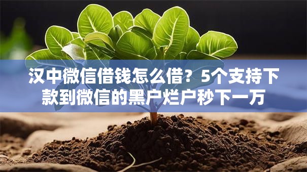 汉中微信借钱怎么借？5个支持下款到微信的黑户烂户秒下一万