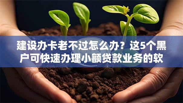 建设办卡老不过怎么办？这5个黑户可快速办理小额贷款业务的软件可以试试