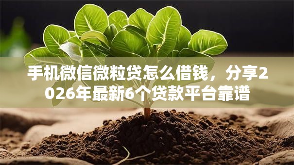 手机微信微粒贷怎么借钱，分享2026年最新6个贷款平台靠谱