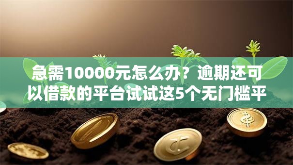 急需10000元怎么办?逾期还可以借款的平台试试这5个无门槛平台 急需10000元怎么办?逾期还可以借款的平台试试这5个无门槛平台