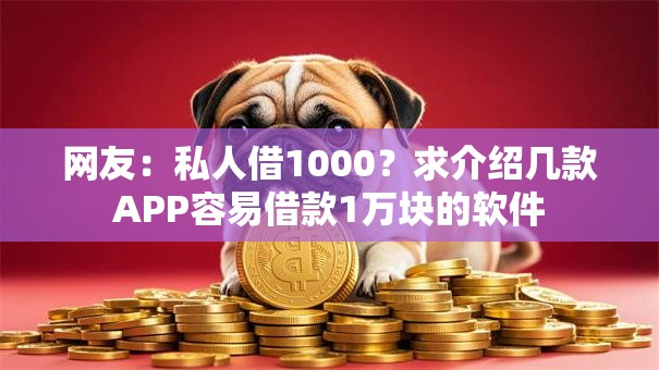 网友：私人借1000？求介绍几款APP容易借款1万块的软件