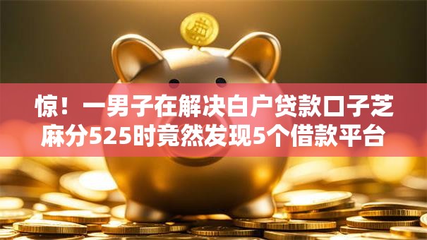 惊！一男子在解决白户贷款口子芝麻分525时竟然发现5个借款平台贷款利息又低又正规，事后分享了出来