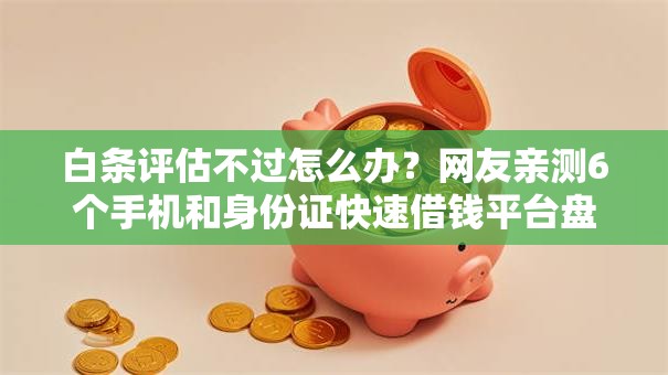 白条评估不过怎么办？网友亲测6个手机和身份证快速借钱平台盘点