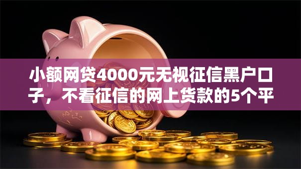 小额网贷4000元无视征信黑户口子，不看征信的网上货款的5个平台介绍