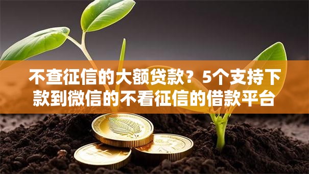 不查征信的大额贷款?5个支持下款到微信的不看征信的借款平台百分百 不查征信的大额贷款?5个支持下款到微信的不看征信的借款平台百分百