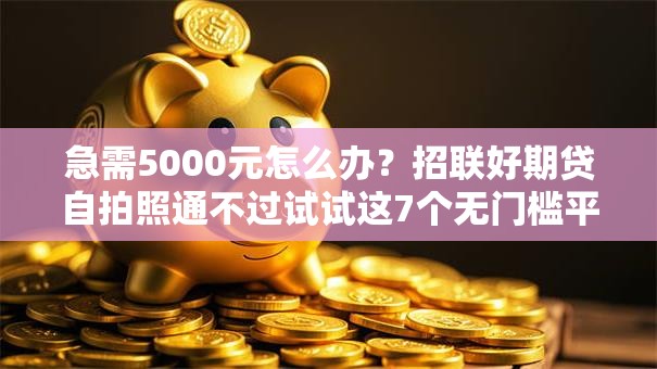 急需5000元怎么办？招联好期贷自拍照通不过试试这7个无门槛平台