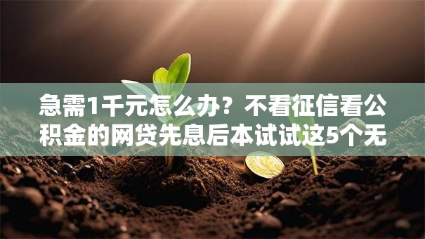 急需1千元怎么办？不看征信看公积金的网贷先息后本试试这5个无门槛平台
