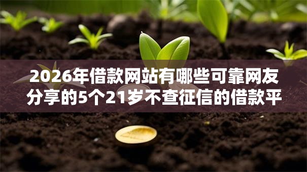 2026年借款网站有哪些可靠网友分享的5个21岁不查征信的借款平台百分百通过我觉得不错！